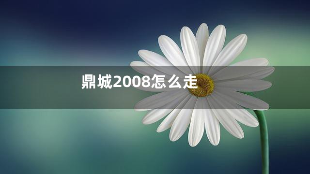 鼎城2008怎么走