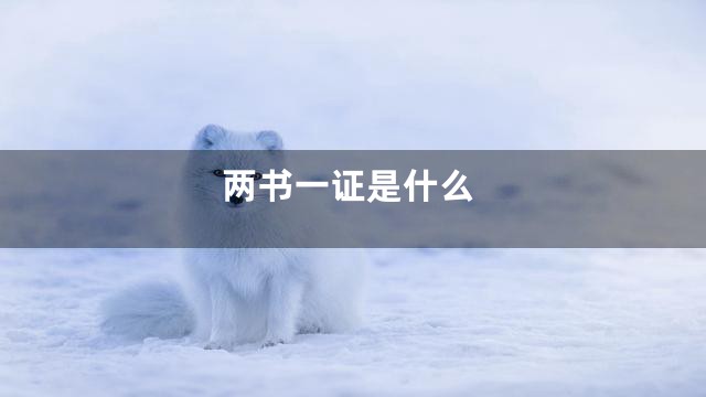 两书一证是什么
