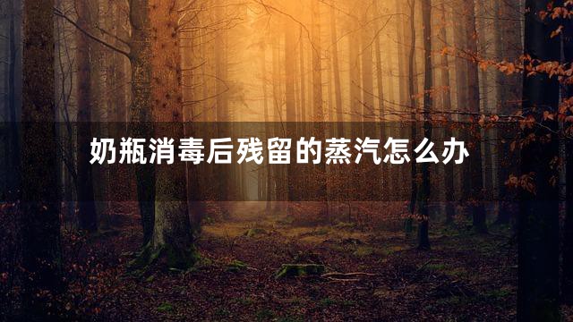 奶瓶消毒后残留的蒸汽怎么办