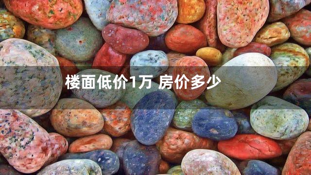 楼面低价1万 房价多少