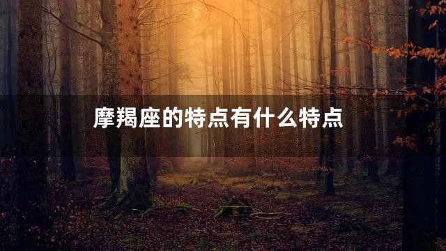 摩羯座的特点有什么特点