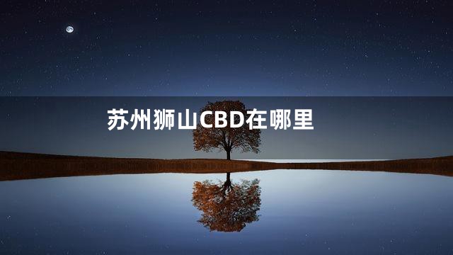 苏州狮山CBD在哪里