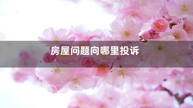 房屋问题向哪里投诉