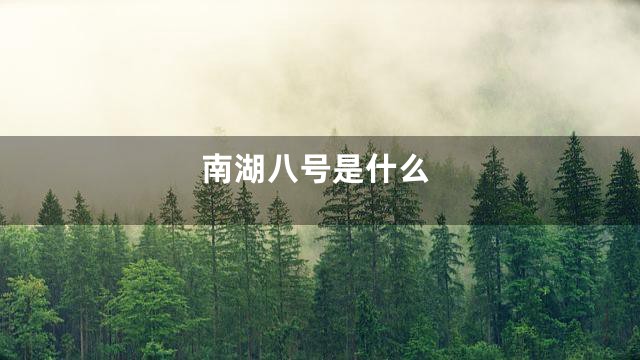 南湖八号是什么