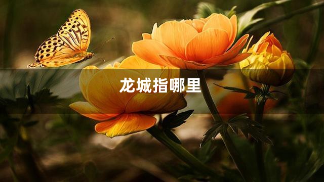 龙城指哪里
