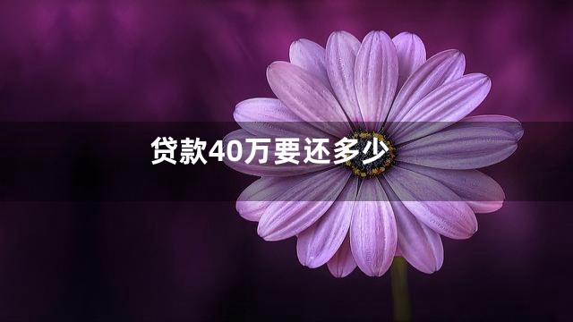 贷款40万要还多少