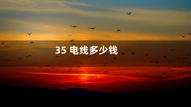 35 电线多少钱