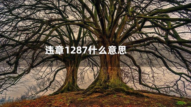 违章1287什么意思