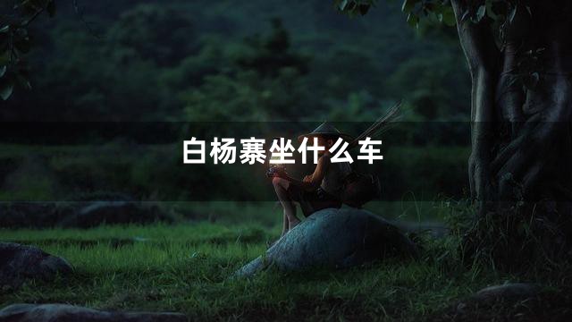 白杨寨坐什么车