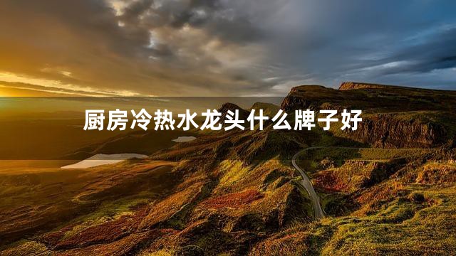 厨房冷热水龙头什么牌子好