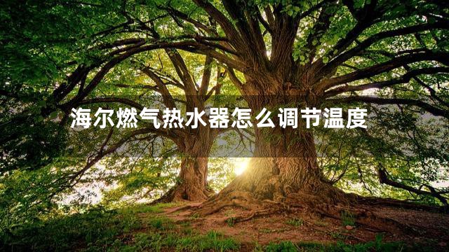 海尔燃气热水器怎么调节温度