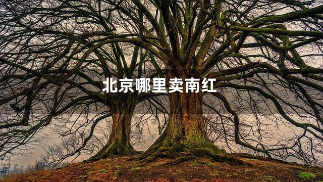 北京哪里卖南红