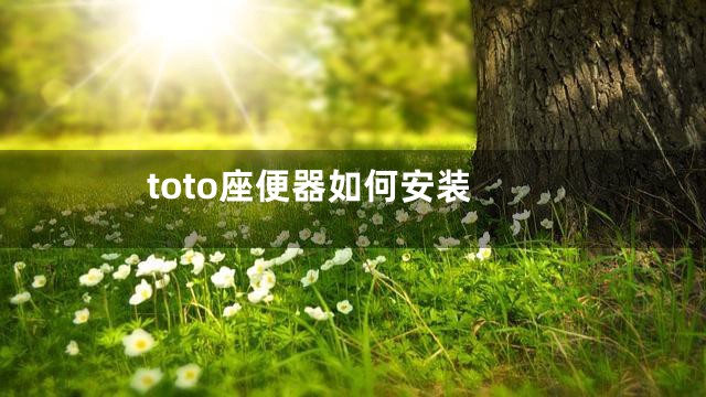 toto座便器如何安装
