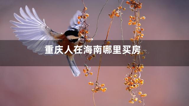 重庆人在海南哪里买房