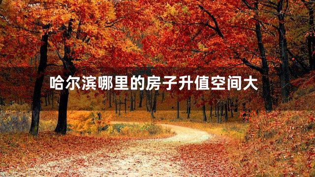 哈尔滨哪里的房子升值空间大