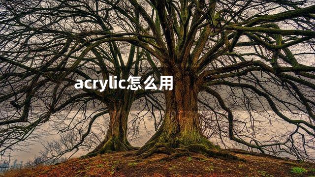acrylic怎么用