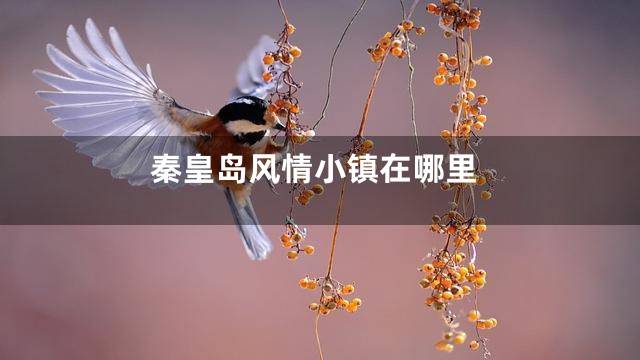 秦皇岛风情小镇在哪里