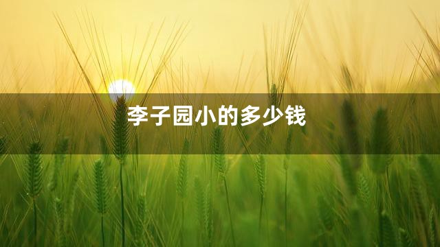李子园小的多少钱