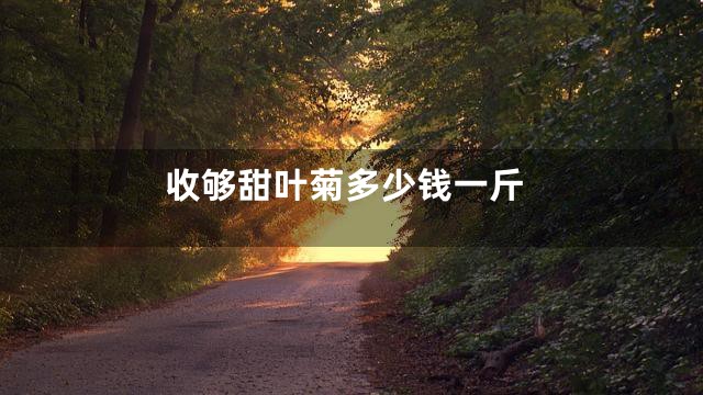 收够甜叶菊多少钱一斤