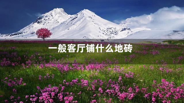 一般客厅铺什么地砖