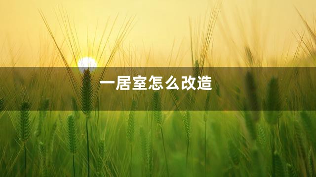 一居室怎么改造