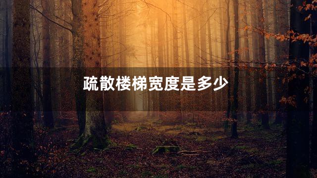 疏散楼梯宽度是多少