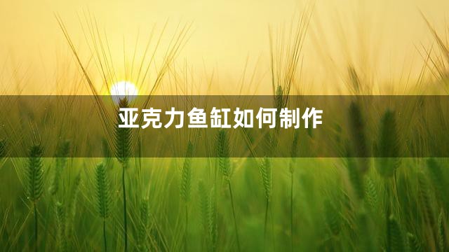 亚克力鱼缸如何制作