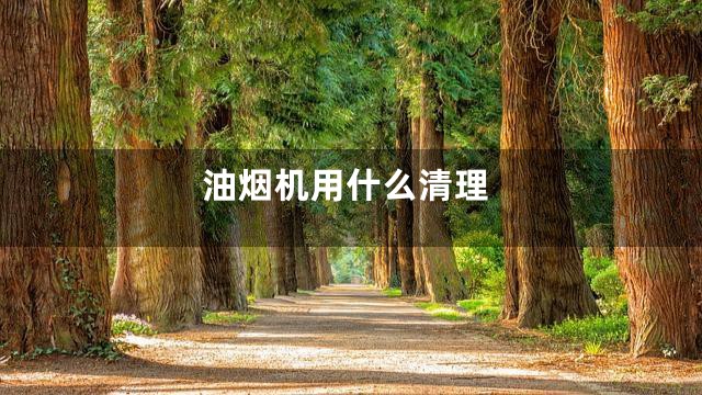 油烟机用什么清理