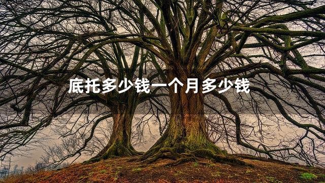 底托多少钱一个月多少钱