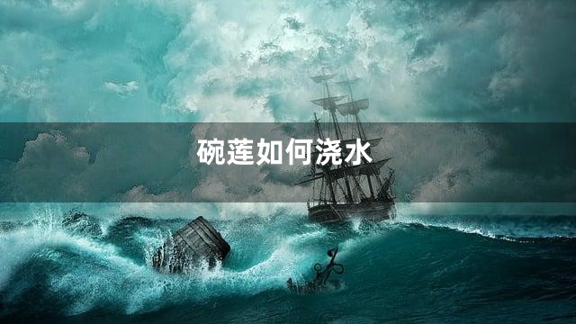 碗莲如何浇水