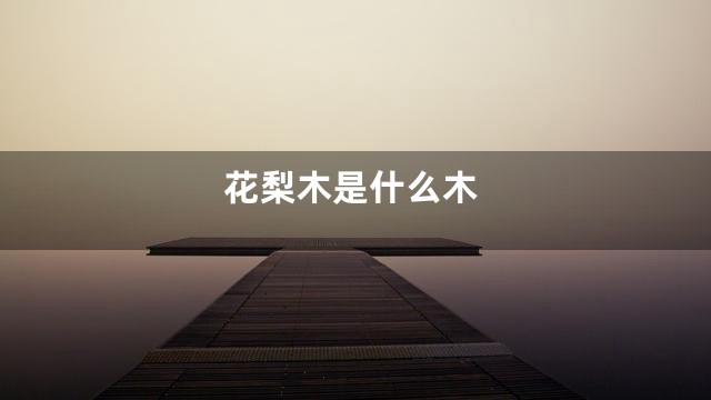 花梨木是什么木