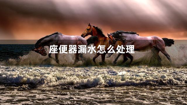 座便器漏水怎么处理