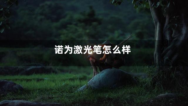 诺为激光笔怎么样