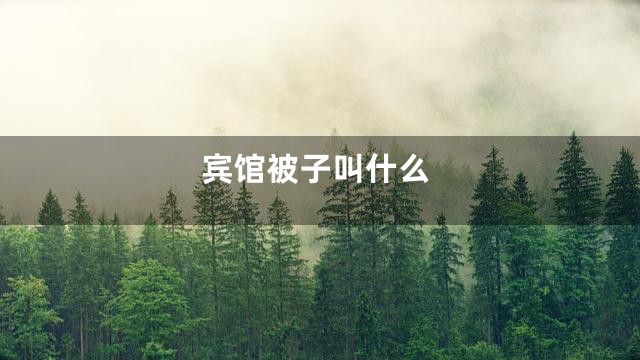 宾馆被子叫什么