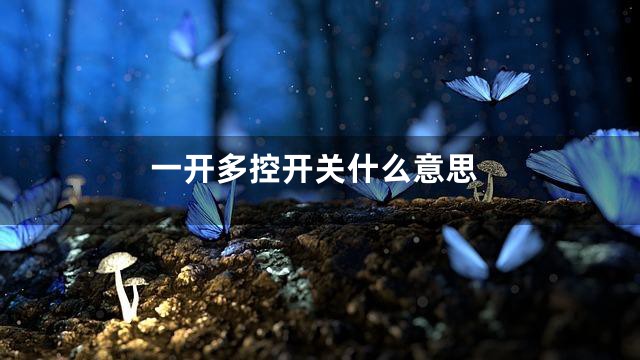 一开多控开关什么意思