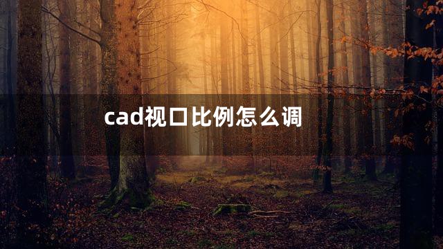 cad视口比例怎么调