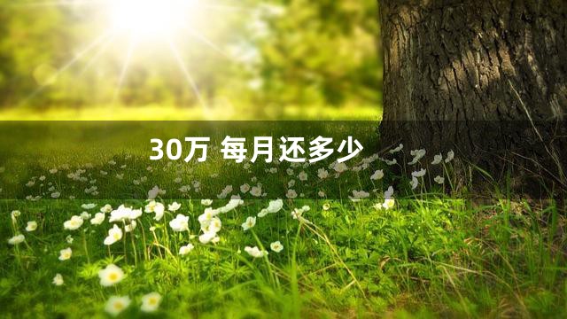 30万 每月还多少