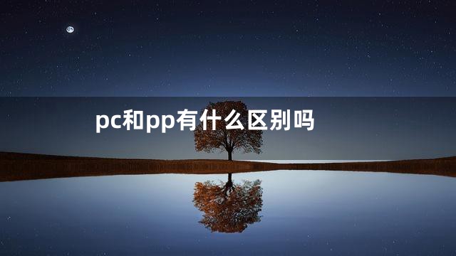 pc和pp有什么区别吗
