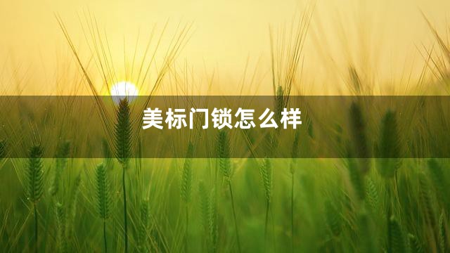 美标门锁怎么样