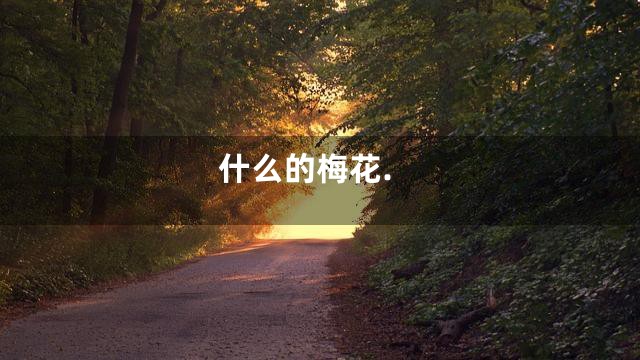 什么的梅花.