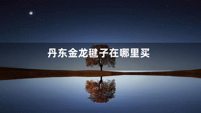 丹东金龙毽子在哪里买
