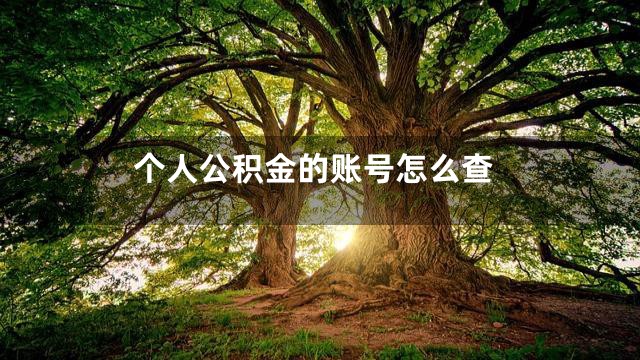 个人公积金的账号怎么查