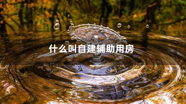什么叫自建辅助用房