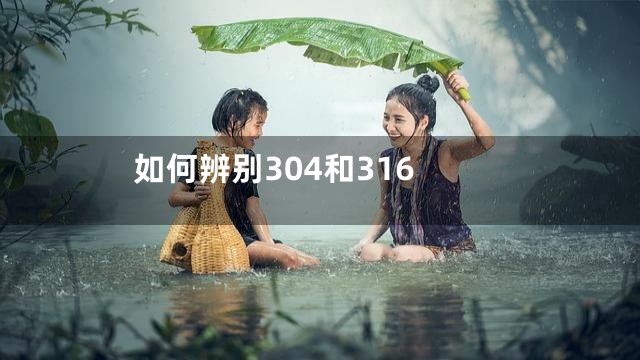如何辨别304和316