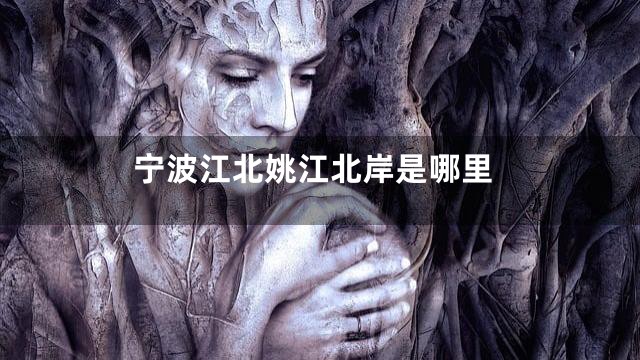 宁波江北姚江北岸是哪里