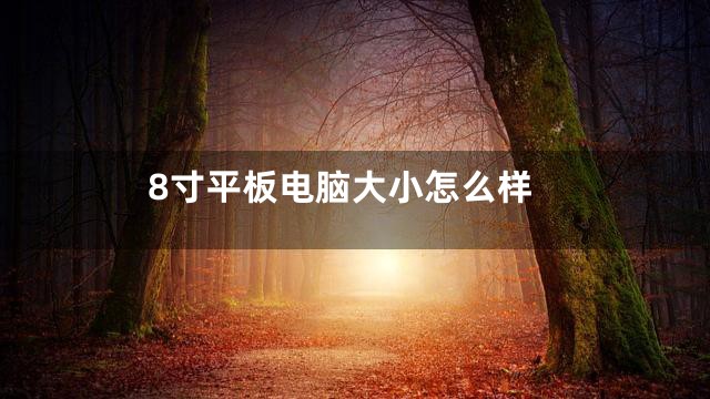 8寸平板电脑大小怎么样