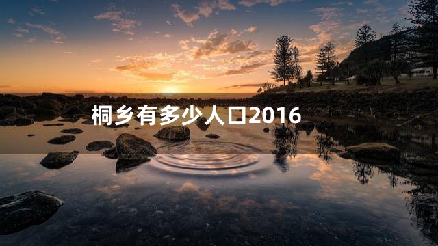 桐乡有多少人口2016