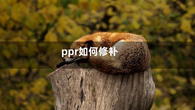 ppr如何修补