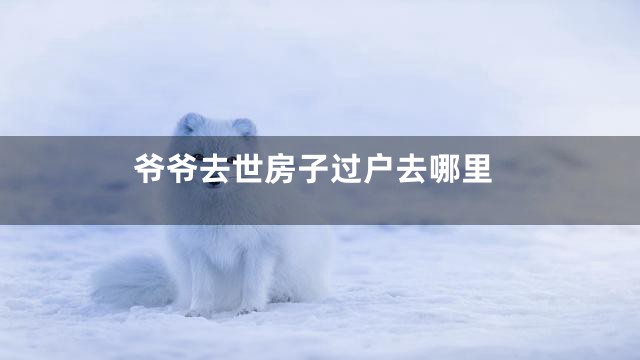 爷爷去世房子过户去哪里