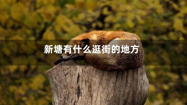 新塘有什么逛街的地方